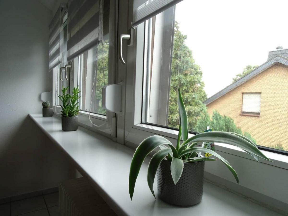 Helle Ferienwohnung In Nettetal Bei Venlo ภายนอก รูปภาพ